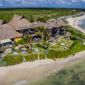 https://el-pez-hotel.tulum-hotels.net
